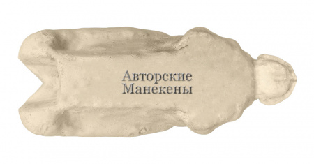 Манекен чернеть хохлатая (самка) ЧХЛМ-2 А